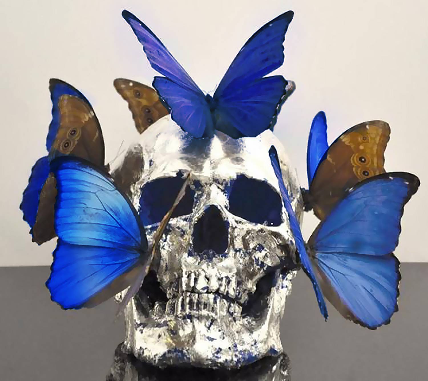 Pasqua - Vanité aux papillons