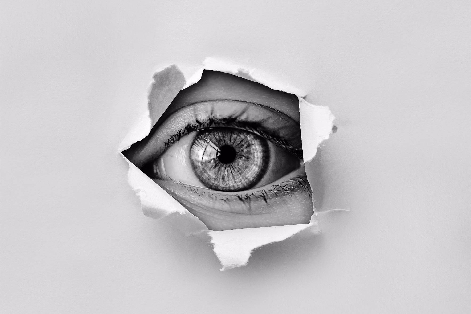 Les entreprises sont la cible des fraudeurs au Président